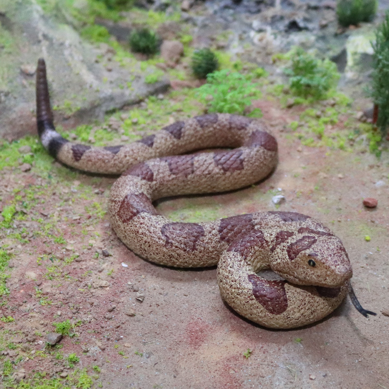 시뮬레이션 부드러운 고무 동물 골든 파이썬 코브라 방울 - Prank Toys 리뷰 및 가격